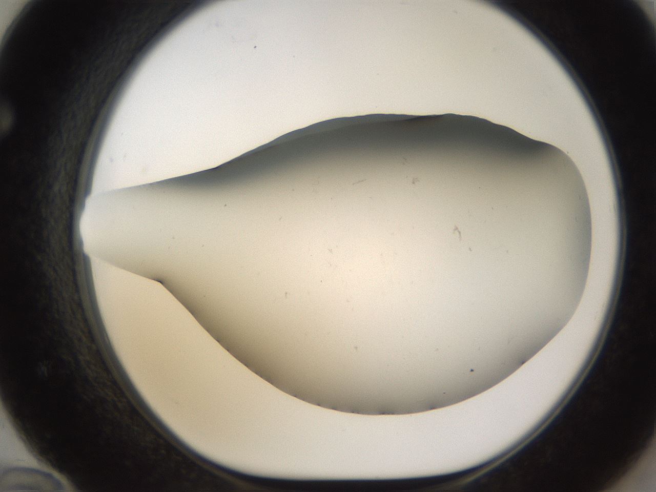 folderID950_plateID2950_batchID16037_wellNum72_profileID1_d1_r243399_ef.jpg