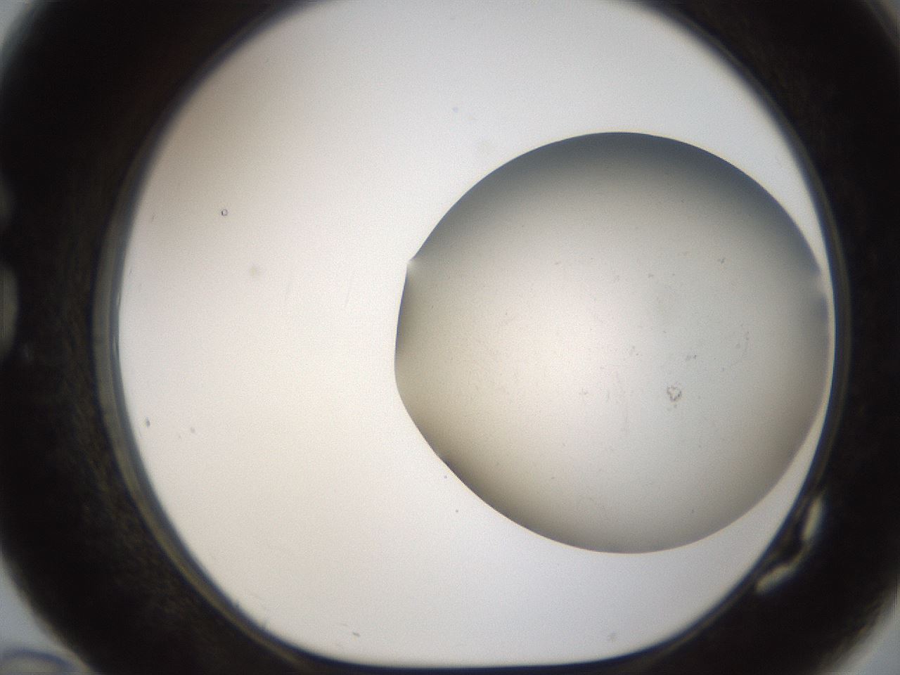 folderID950_plateID2950_batchID16037_wellNum82_profileID1_d1_r243409_ef.jpg