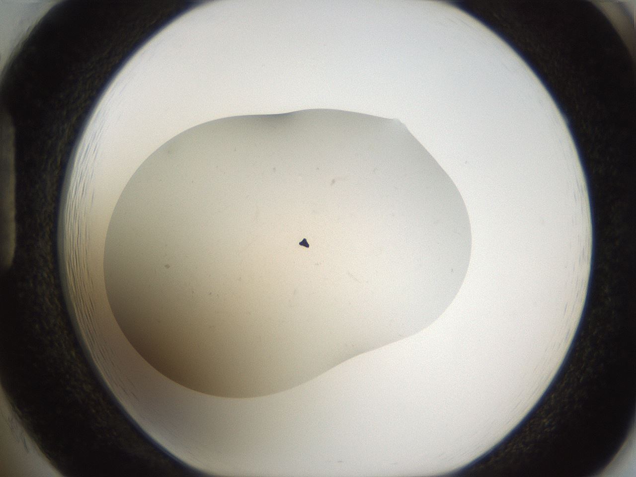 folderID950_plateID2950_batchID16037_wellNum85_profileID1_d1_r243412_ef.jpg