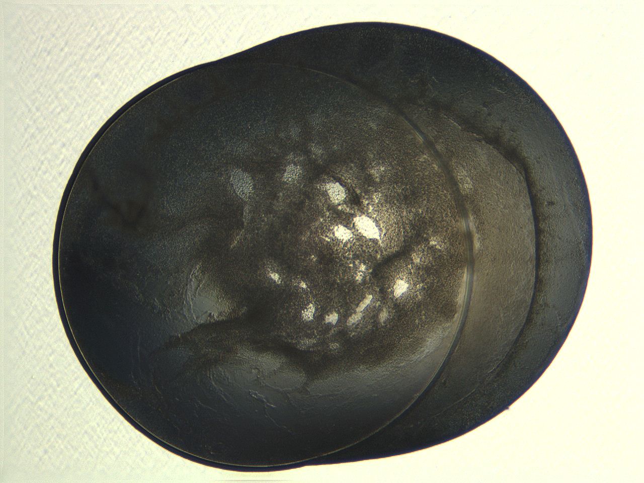 04ot_G10_ImagerDefaults_3.jpg