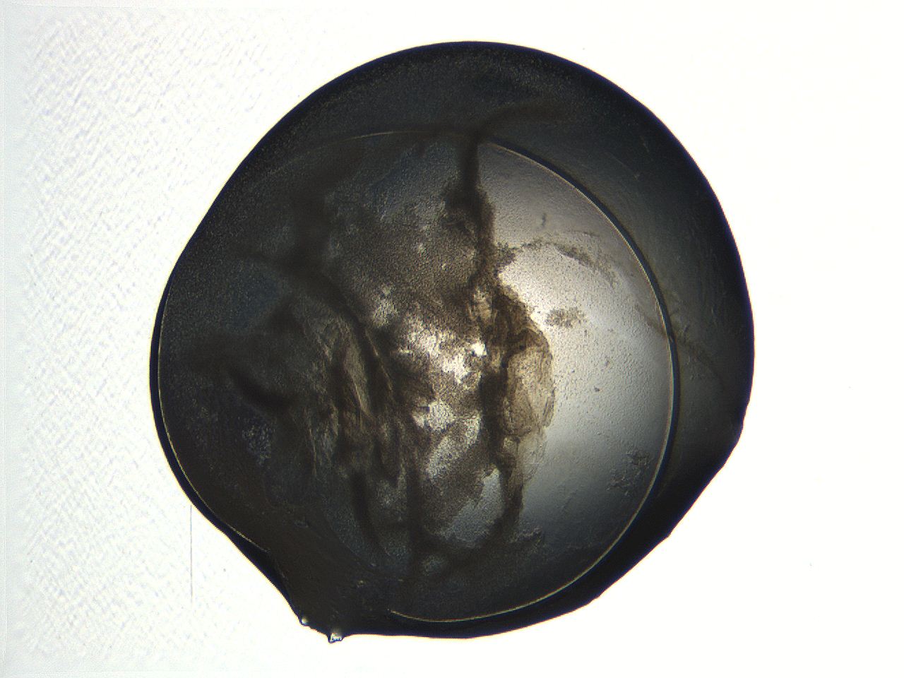 04ot_G12_ImagerDefaults_3.jpg