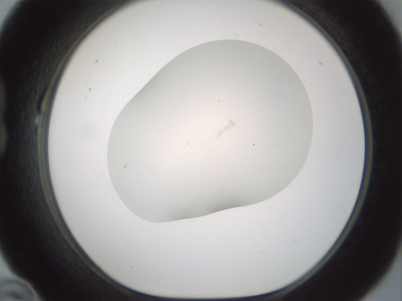 folderID952_plateID2952_batchID16032_wellNum22_profileID1_d1_r243445_ef.jpg