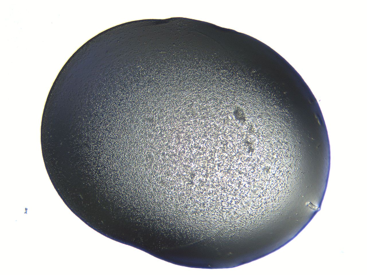 04ou_B11_ImagerDefaults_3.jpg