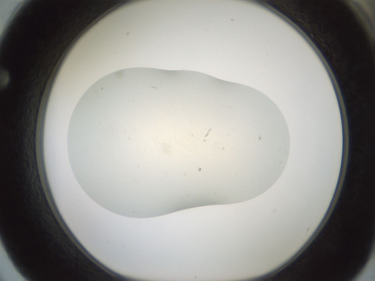 folderID952_plateID2952_batchID16212_wellNum62_profileID1_d1_r243485_ef.jpg