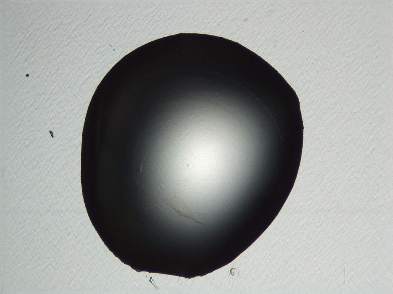 04ou_C11_ImagerDefaults_0.jpg