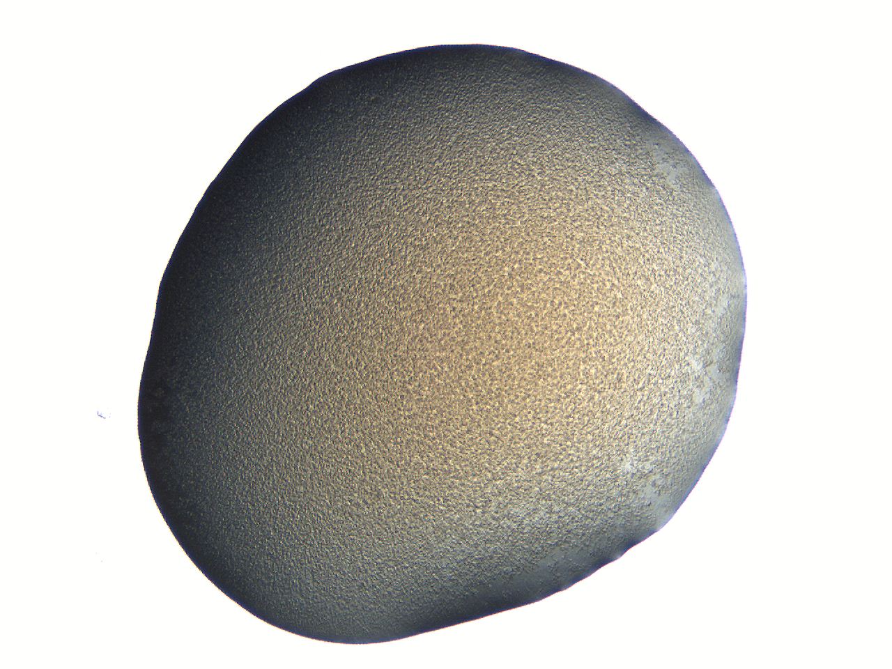 04ou_C3_ImagerDefaults_3.jpg