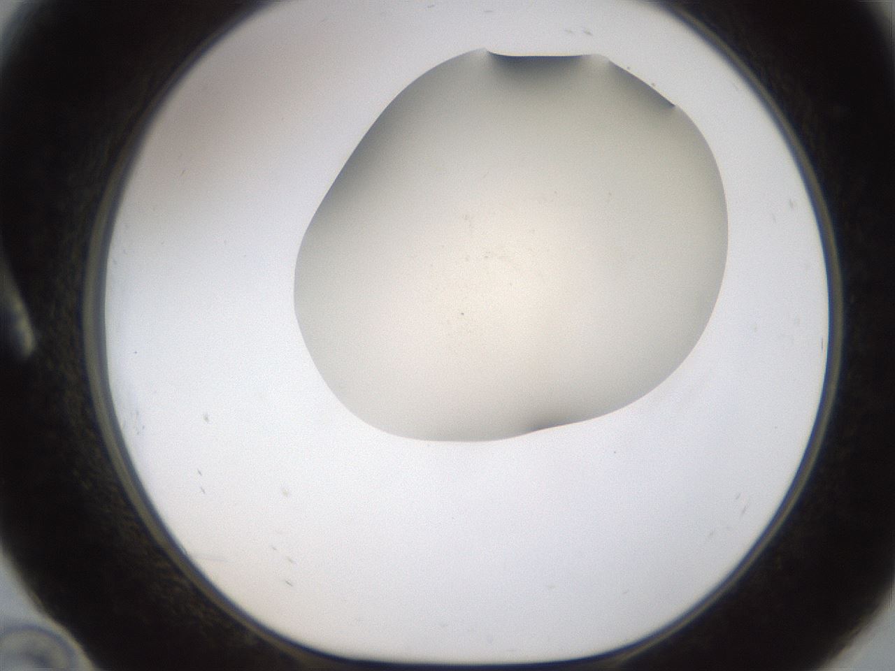 folderID953_plateID2953_batchID16042_wellNum10_profileID1_d1_r243625_ef.jpg