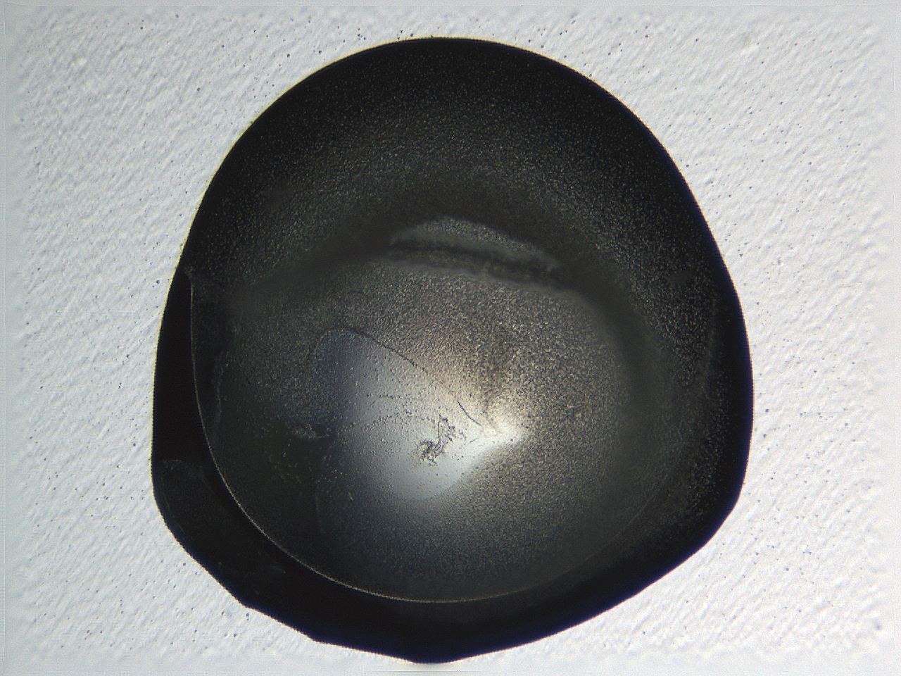 04ou_C12_ImagerDefaults_3.jpg
