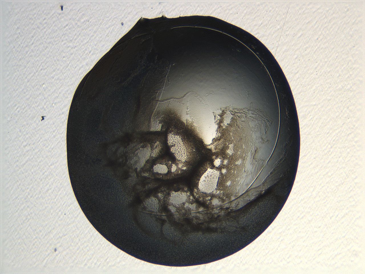 04ou_C6_ImagerDefaults_3.jpg