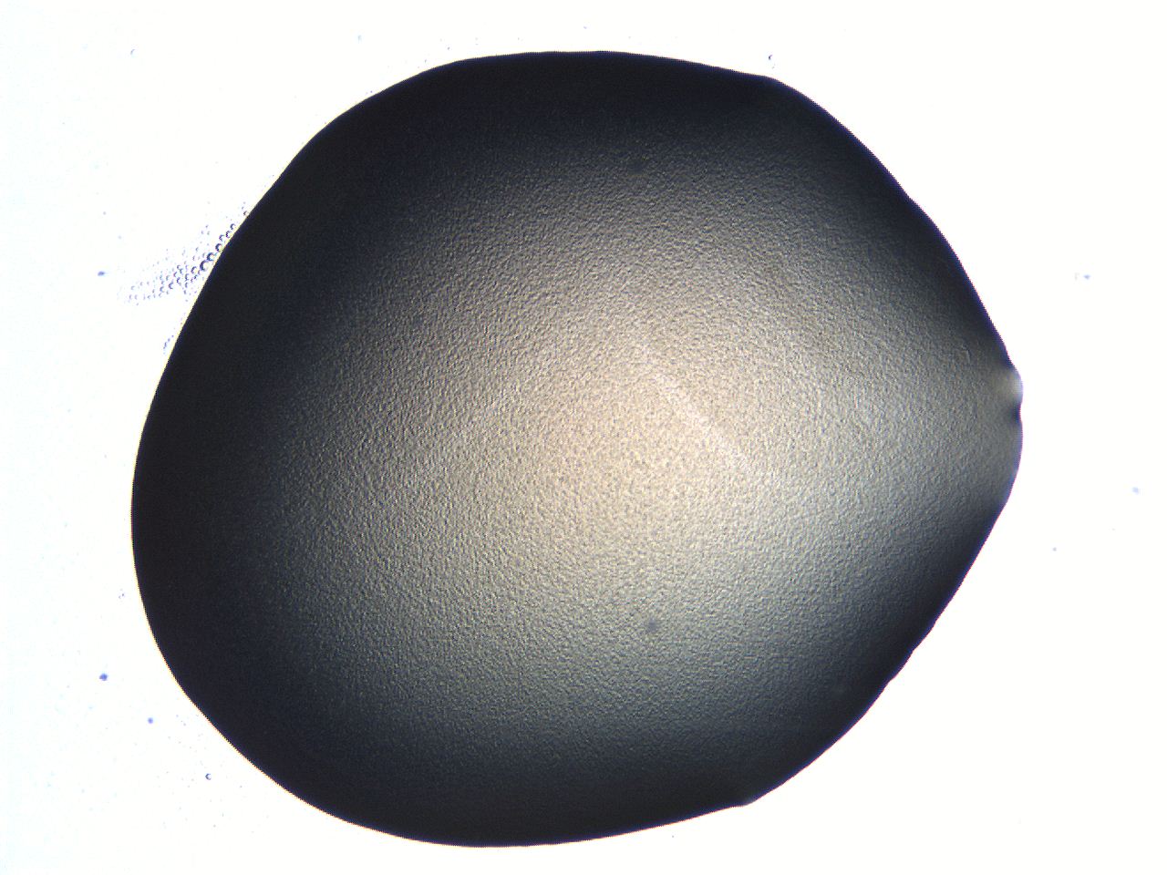 04ou_C2_ImagerDefaults_3.jpg