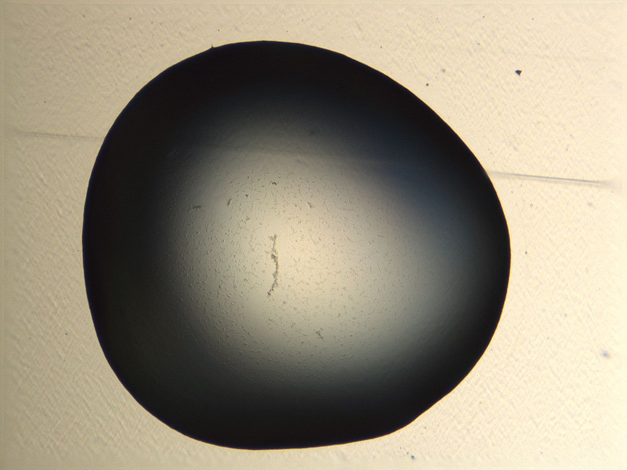 04ou_A3_ImagerDefaults_0.jpg