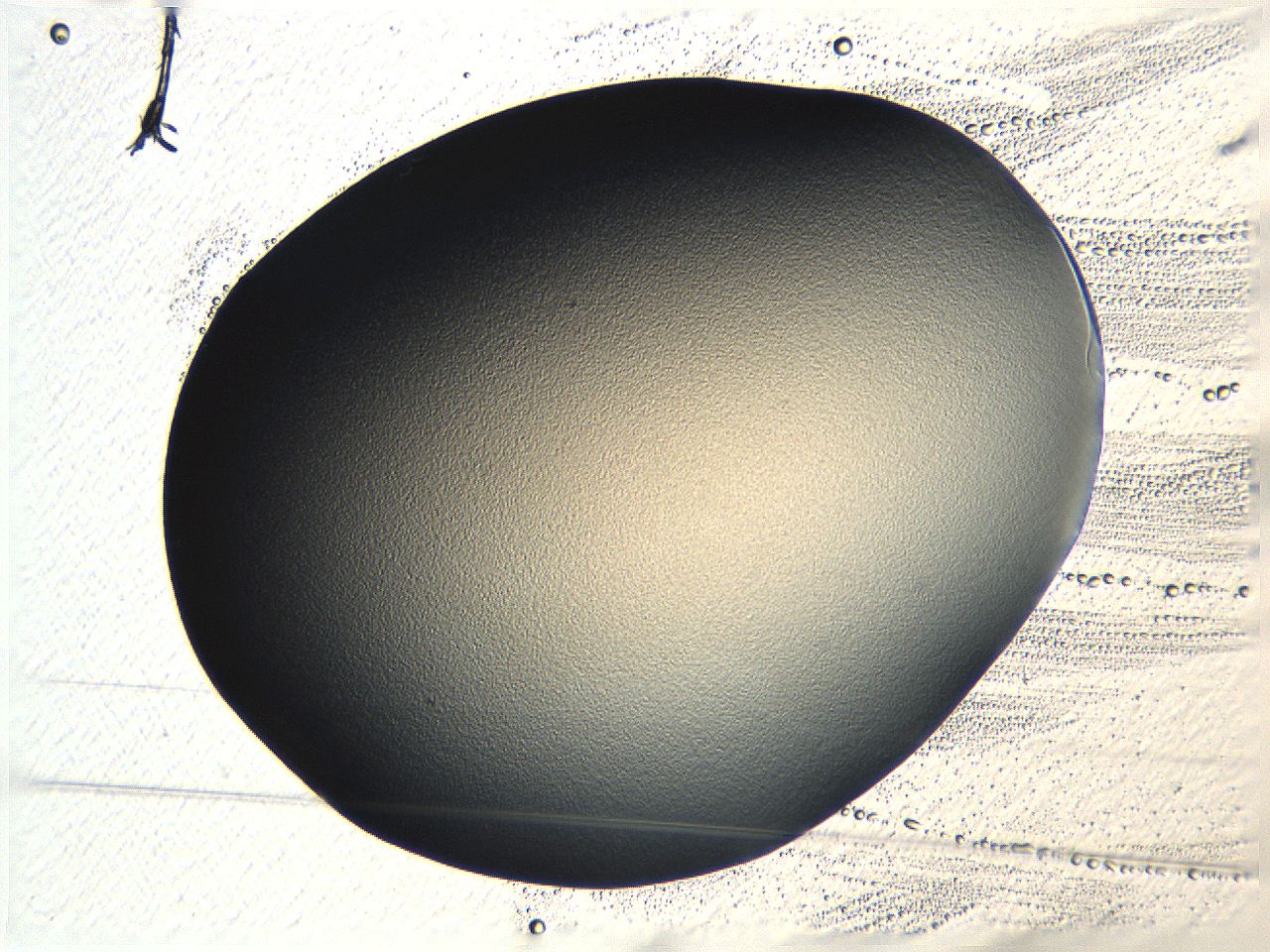 04ou_A5_ImagerDefaults_0.jpg