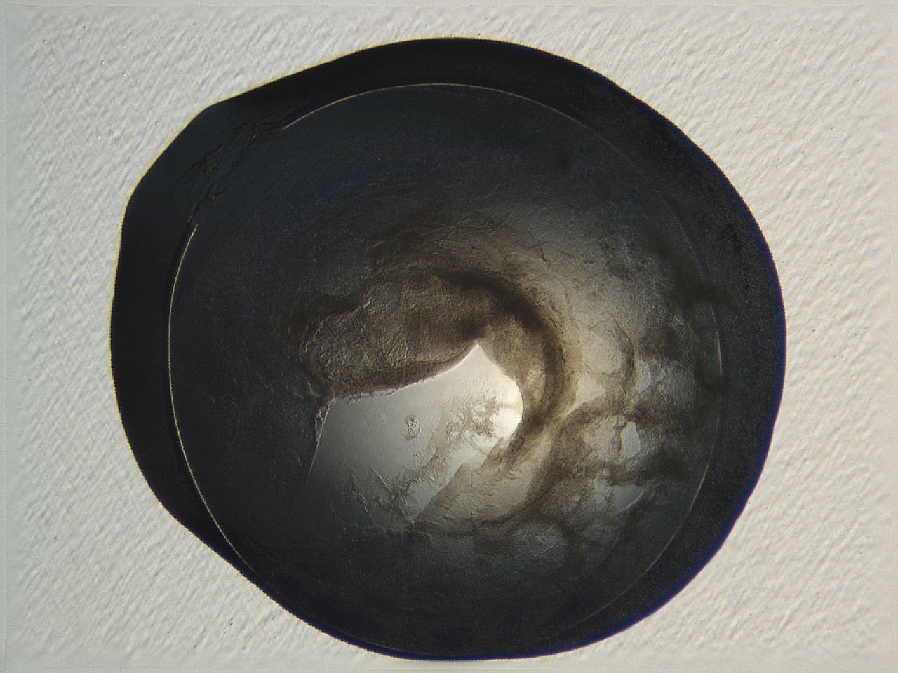 04ou_A9_ImagerDefaults_3.jpg