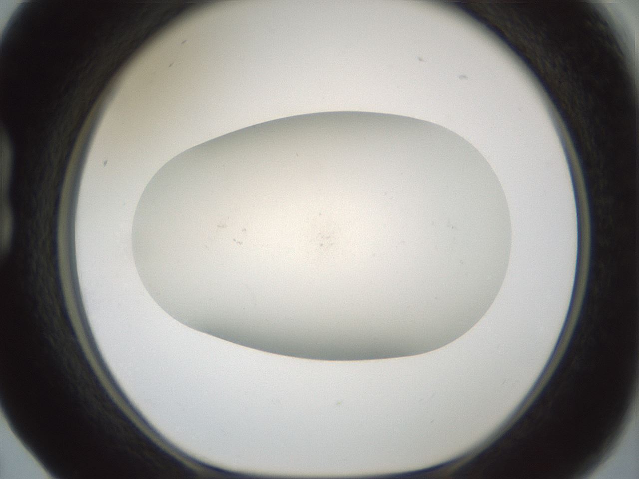 folderID955_plateID2955_batchID16039_wellNum17_profileID1_d1_r243728_ef.jpg