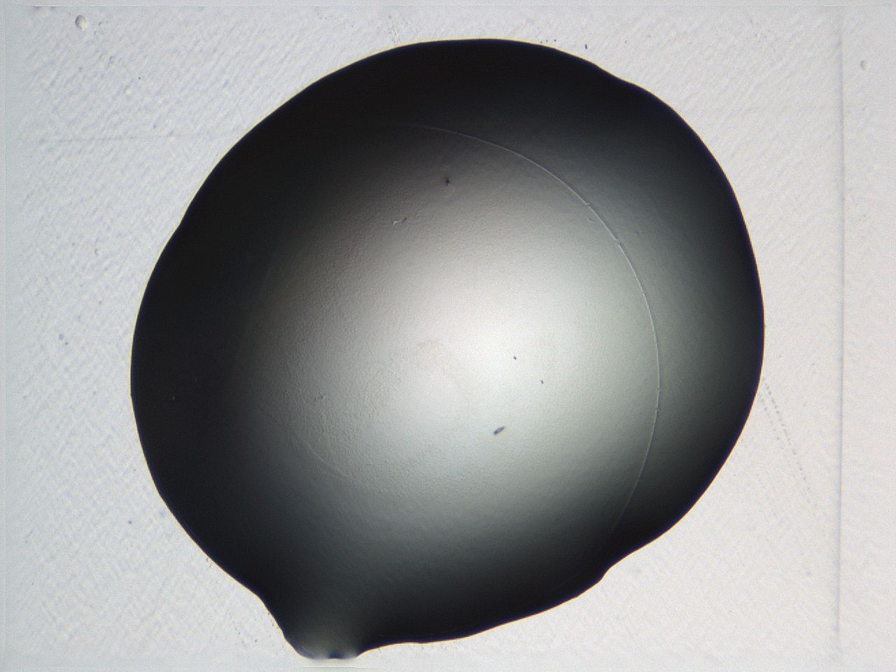 04ou_C8_ImagerDefaults_0.jpg