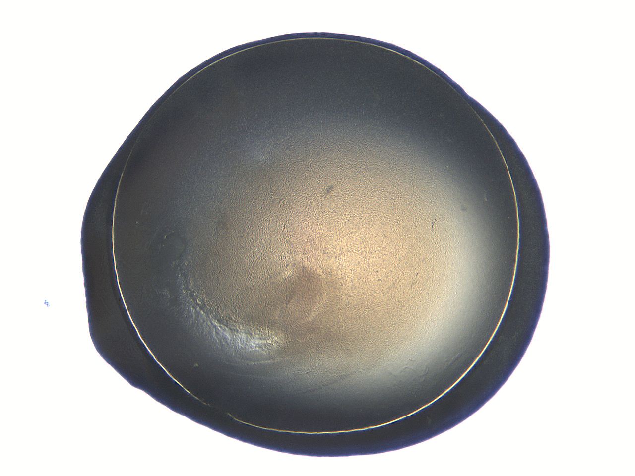 04ou_C9_ImagerDefaults_3.jpg