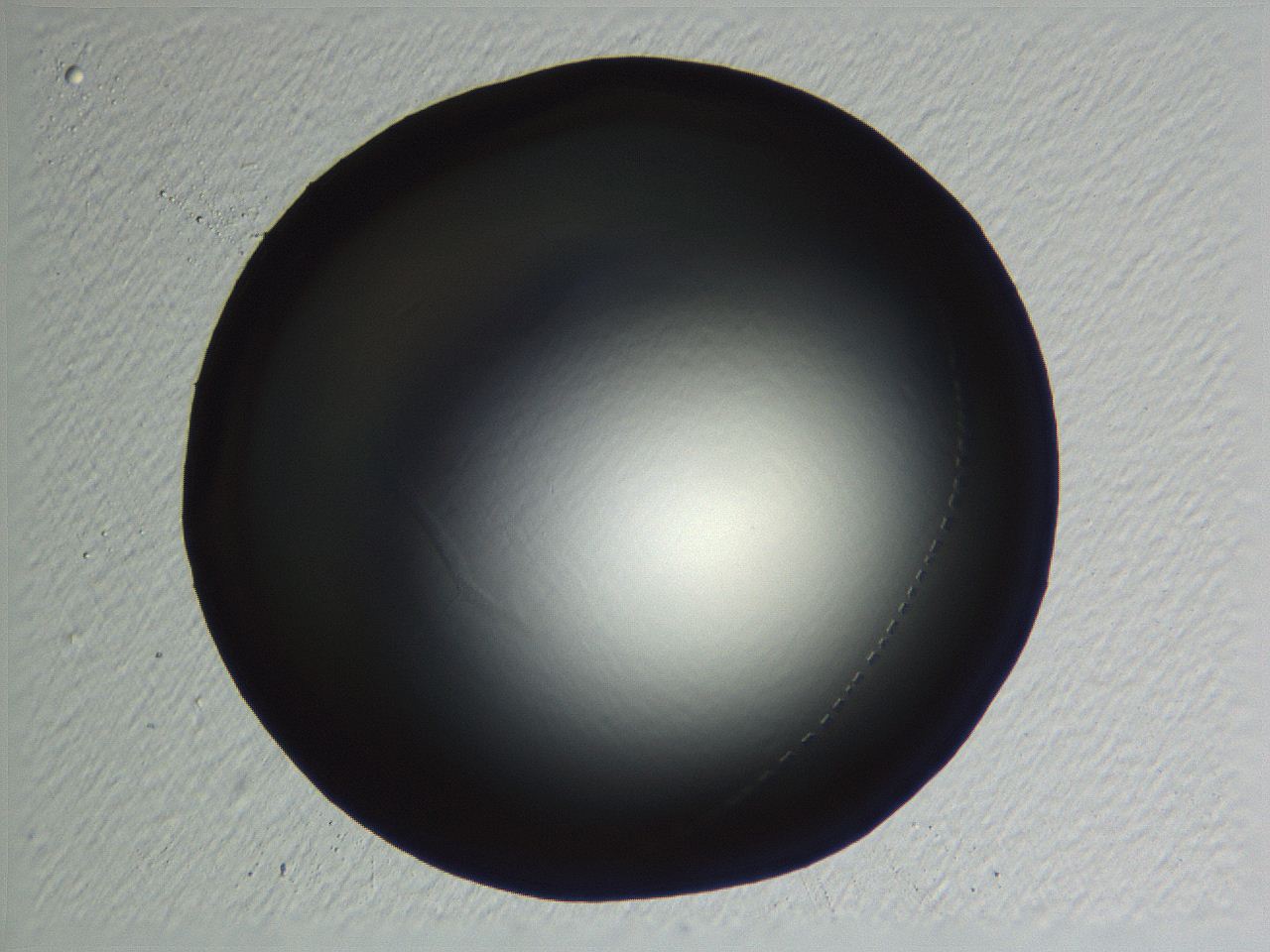 04ou_D12_ImagerDefaults_0.jpg