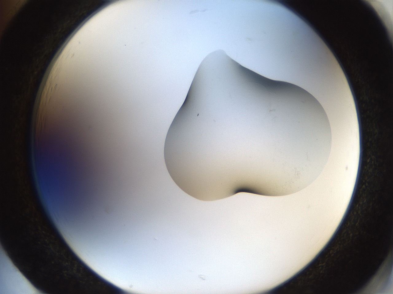 folderID956_plateID956_batchID1384_wellNum85_profileID1_d2_r36364_ef.jpg