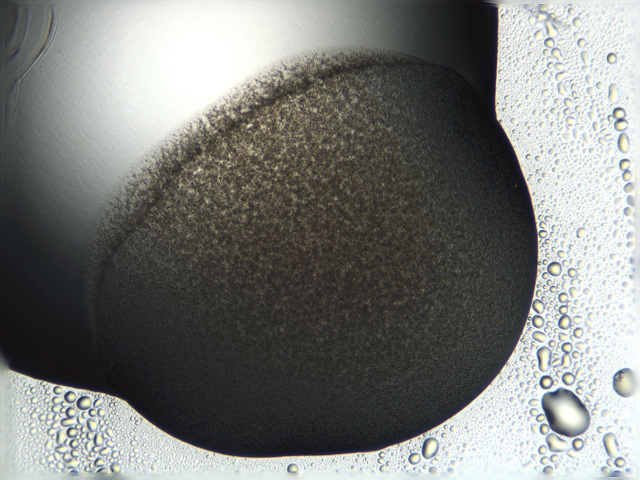 04ou_E4_ImagerDefaults_3.jpg