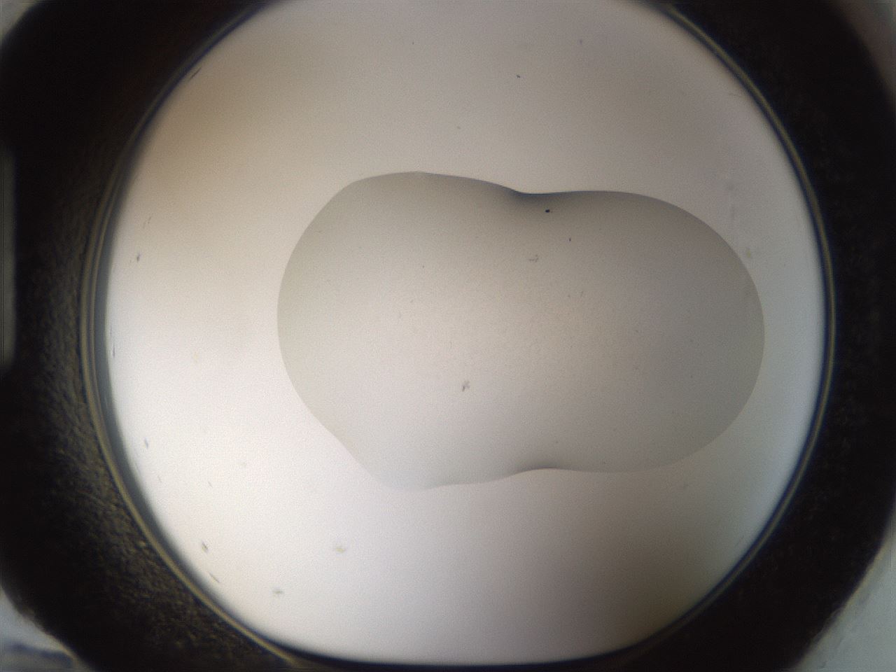 folderID956_plateID956_batchID1384_wellNum96_profileID1_d1_r36385_ef.jpg