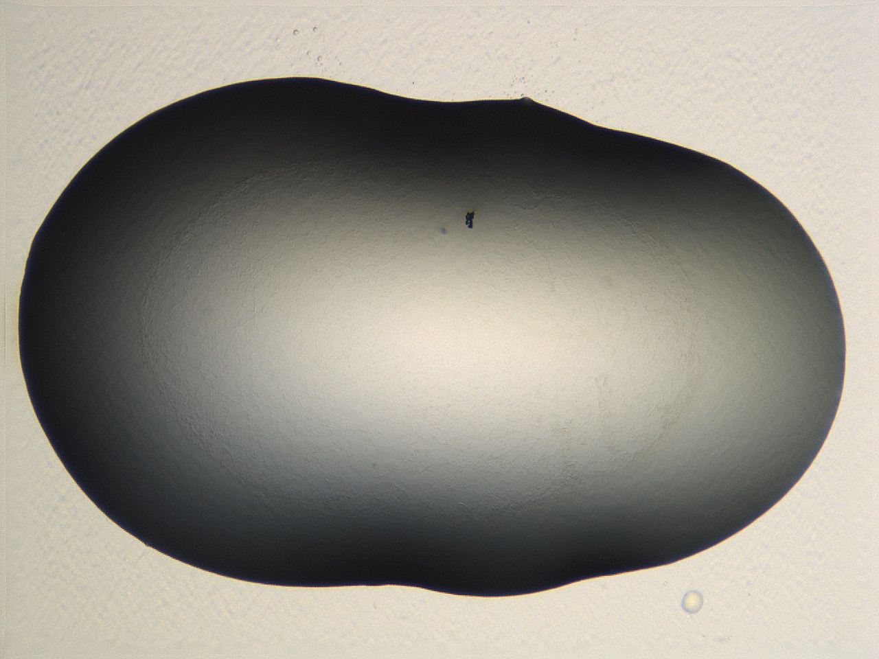 04ou_F3_ImagerDefaults_0.jpg