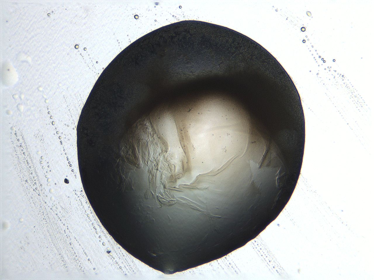 04ou_G3_ImagerDefaults_3.jpg