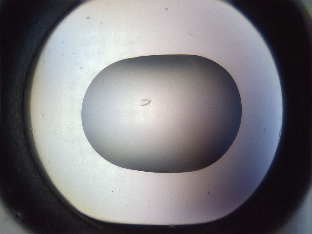 folderID958_plateID1958_batchID8614_wellNum93_profileID1_d1_r133902_ef.jpg