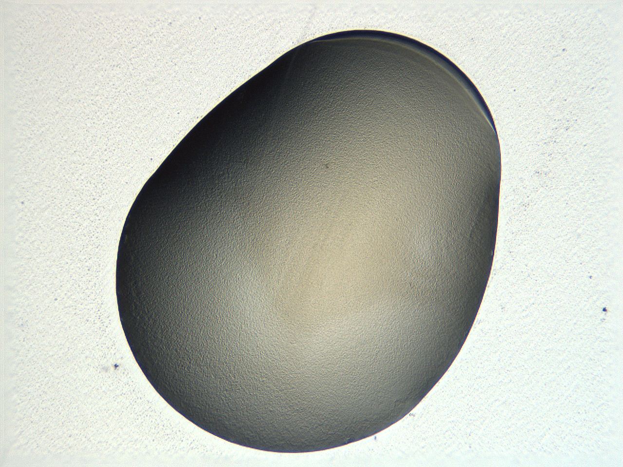 04ou_G5_ImagerDefaults_3.jpg