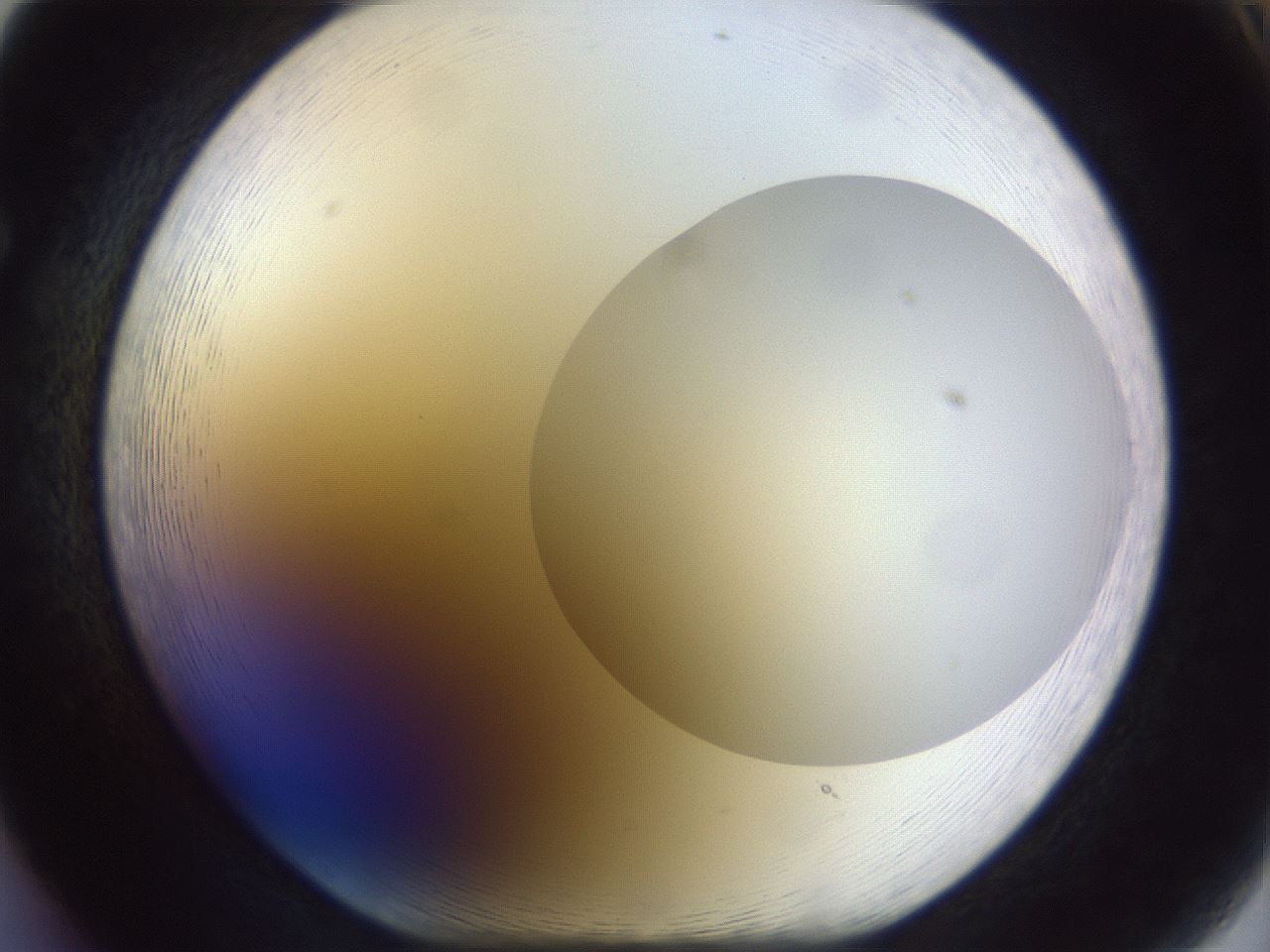 folderID959_plateID1959_batchID8608_wellNum65_profileID1_d1_r132694_ef.jpg
