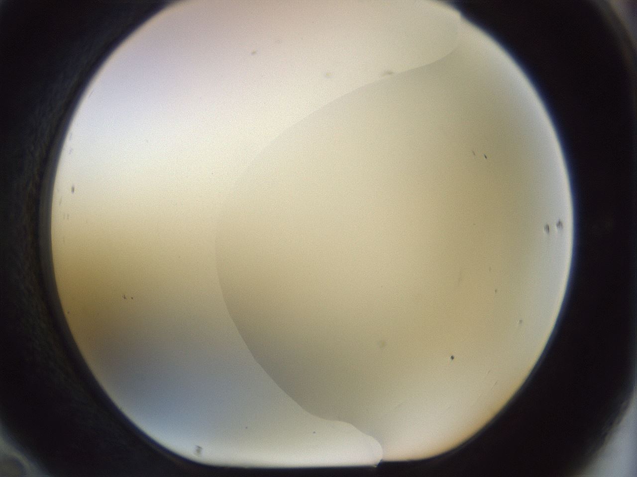 folderID959_plateID1959_batchID8608_wellNum70_profileID1_d1_r132704_ef.jpg