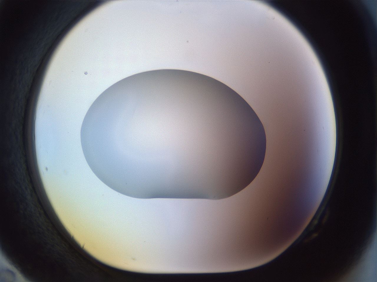 folderID959_plateID1959_batchID8608_wellNum82_profileID1_d1_r132728_ef.jpg