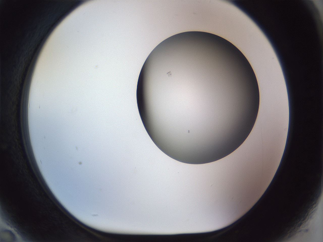 folderID959_plateID1959_batchID8608_wellNum94_profileID1_d1_r132752_ef.jpg