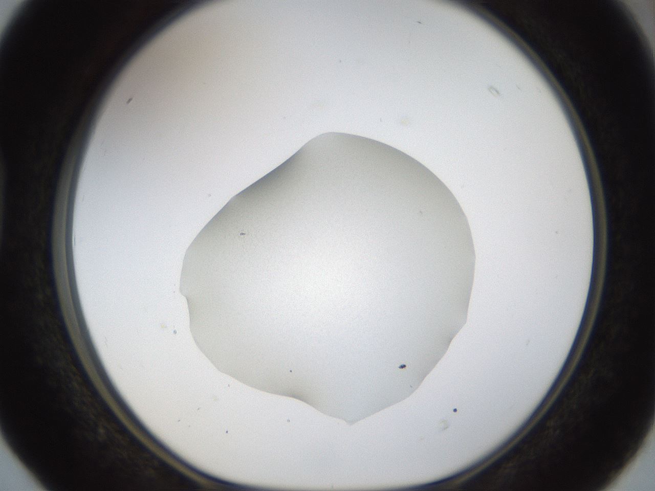 folderID959_plateID959_batchID1393_wellNum40_profileID1_d1_r37011_ef.jpg