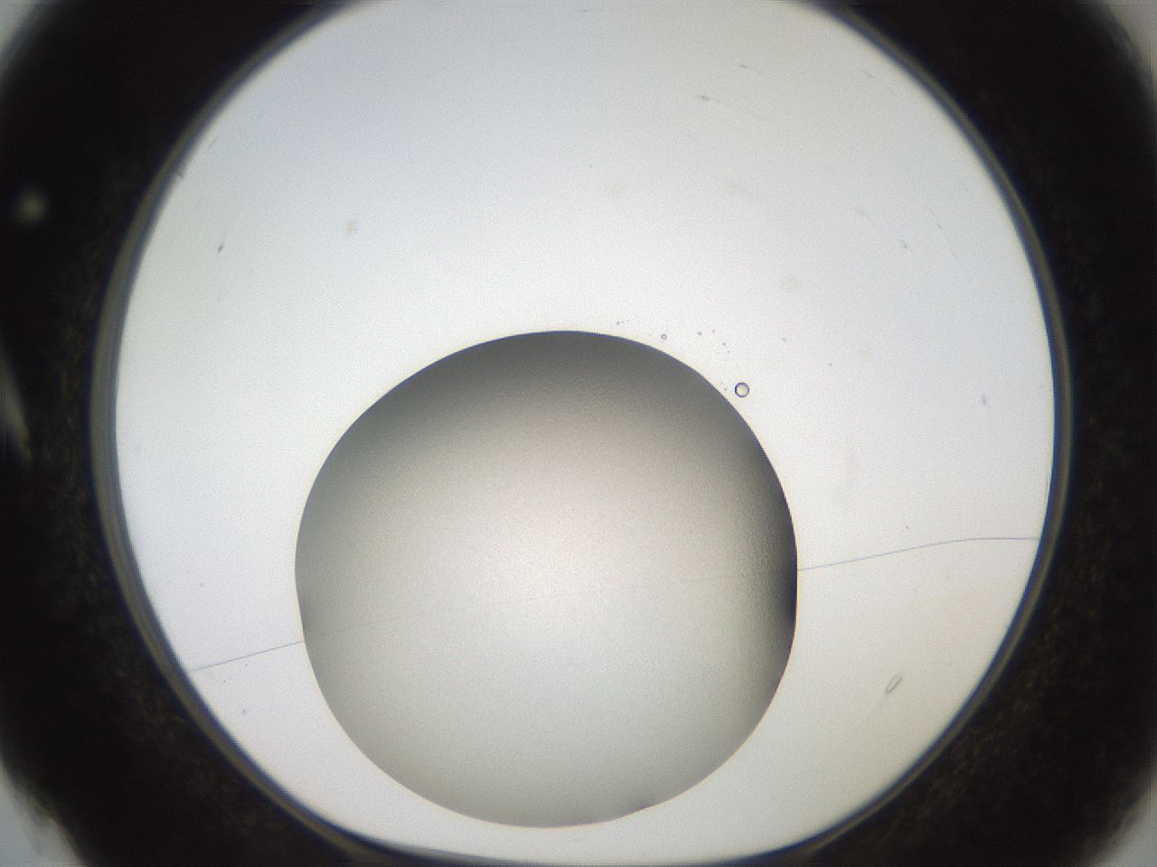 folderID95_plateID2095_batchID9285_wellNum4_profileID1_d1_r140397_ef.jpg