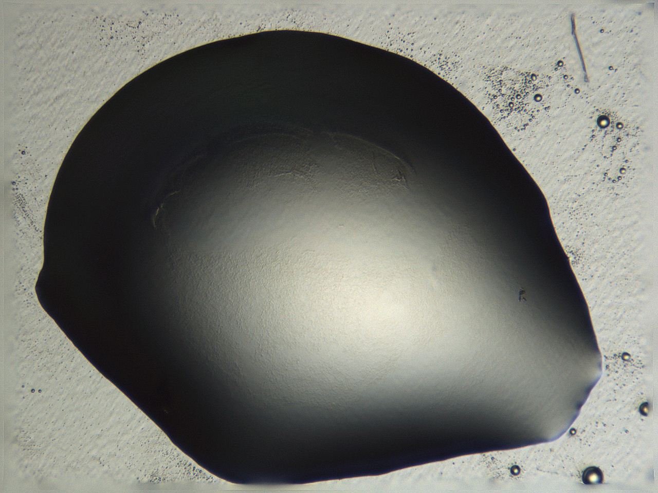 04ou_E11_ImagerDefaults_0.jpg