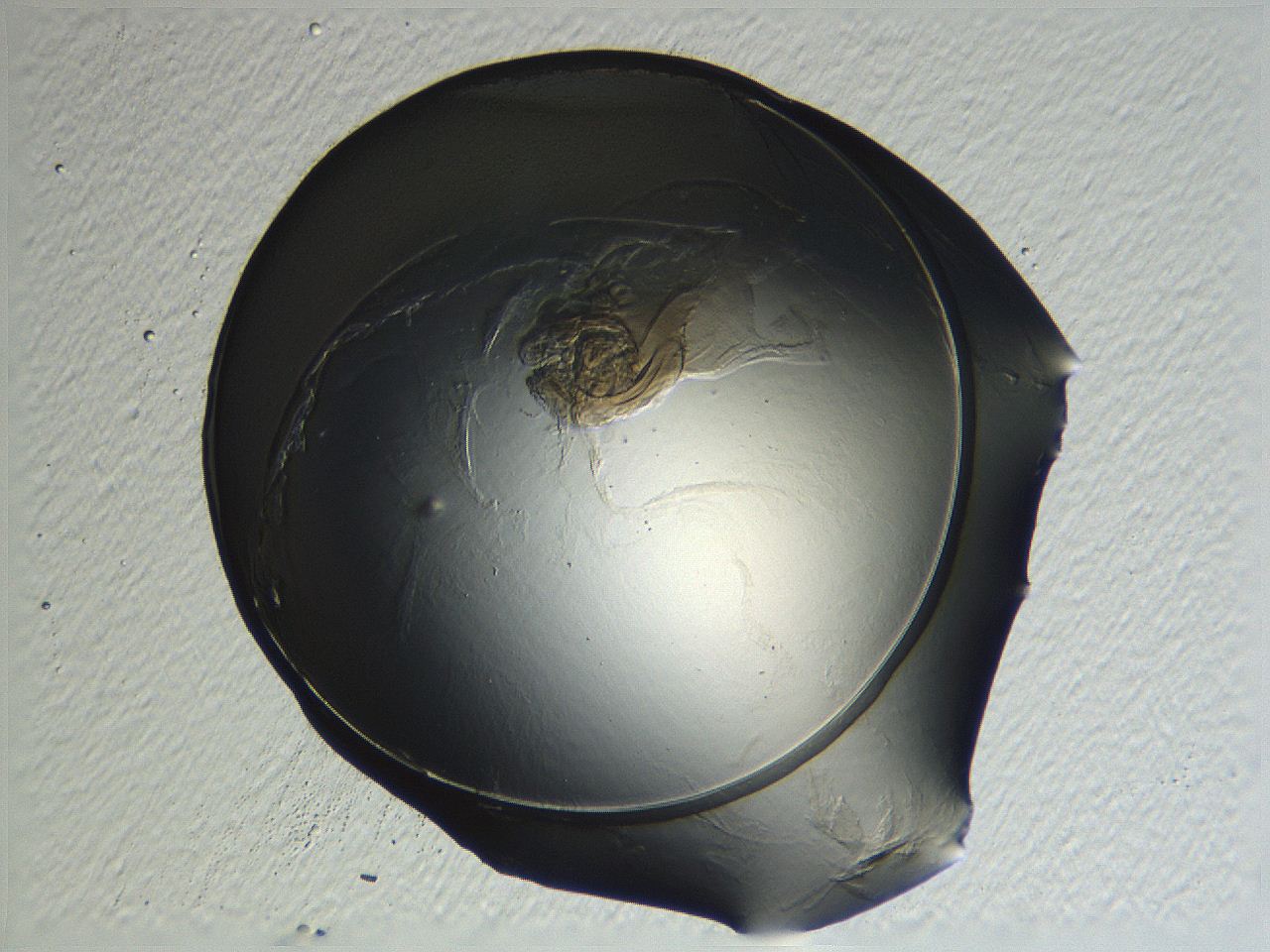 04ou_E12_ImagerDefaults_3.jpg