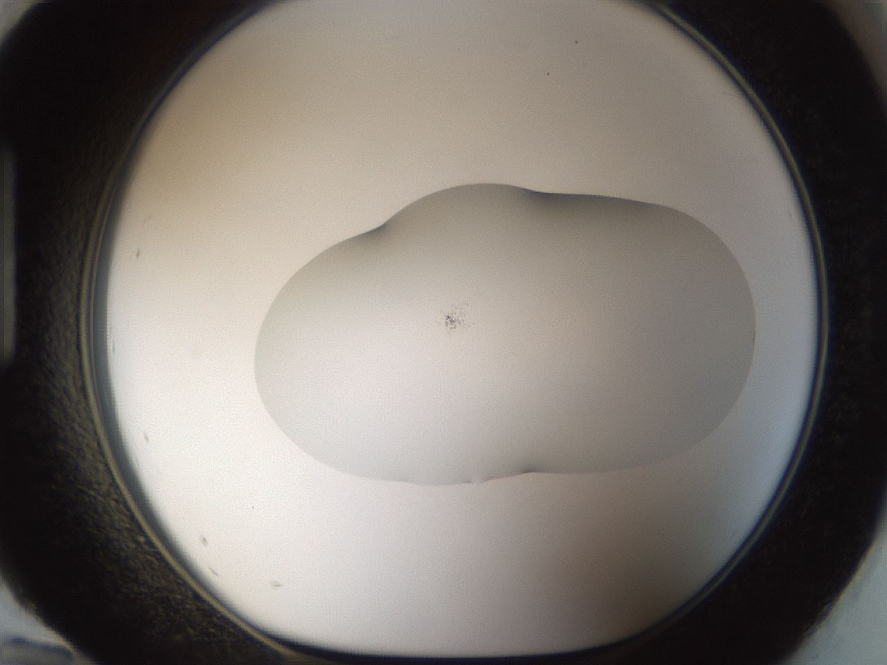 folderID959_plateID959_batchID1393_wellNum96_profileID1_d1_r37067_ef.jpg