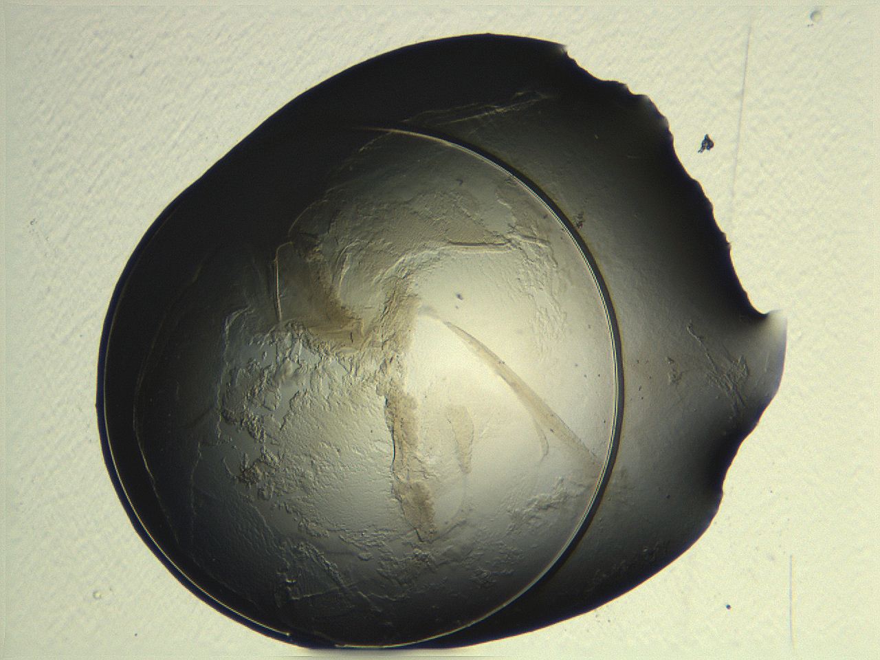 04ou_G10_ImagerDefaults_3.jpg