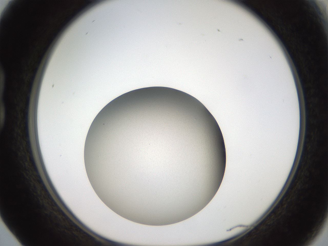 folderID95_plateID2095_batchID9390_wellNum17_profileID1_d1_r140410_ef.jpg