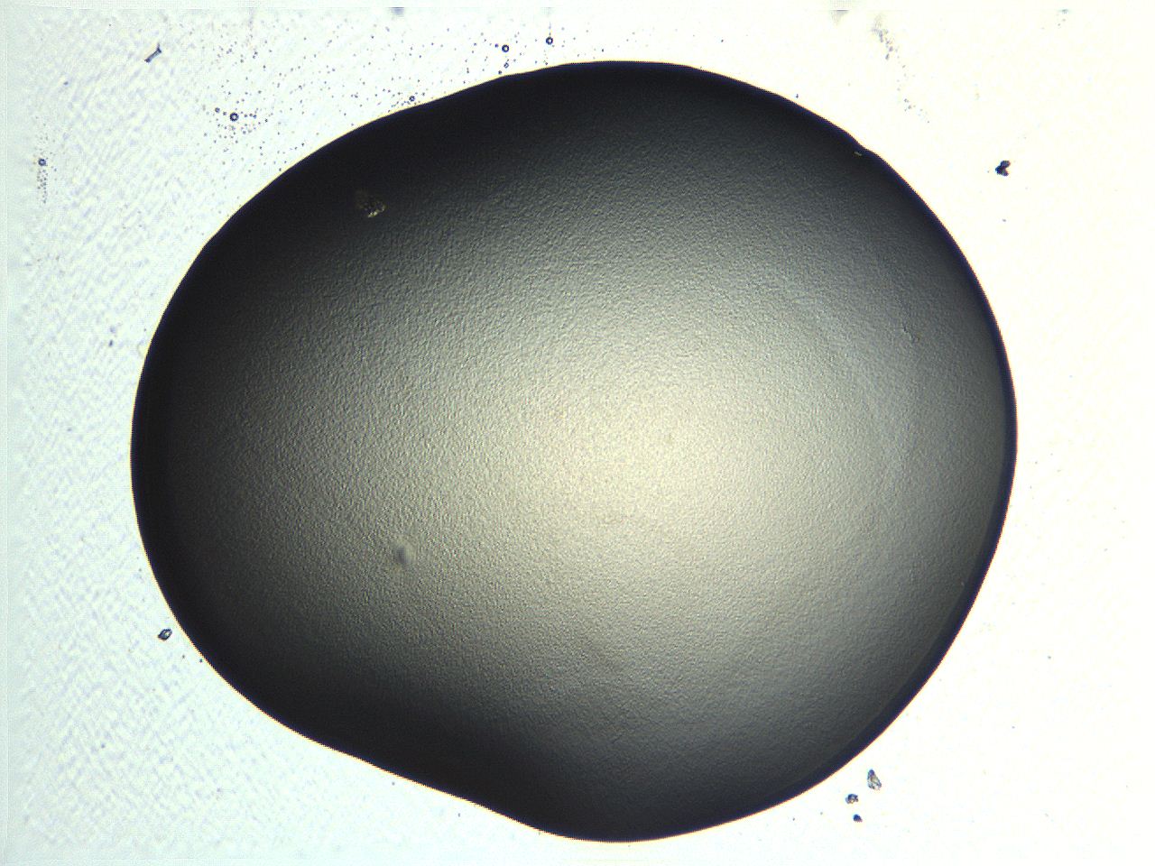 04ou_H3_ImagerDefaults_3.jpg