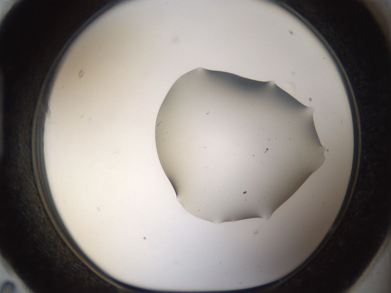 folderID960_plateID960_batchID1395_wellNum95_profileID1_d1_r37258_ef.jpg