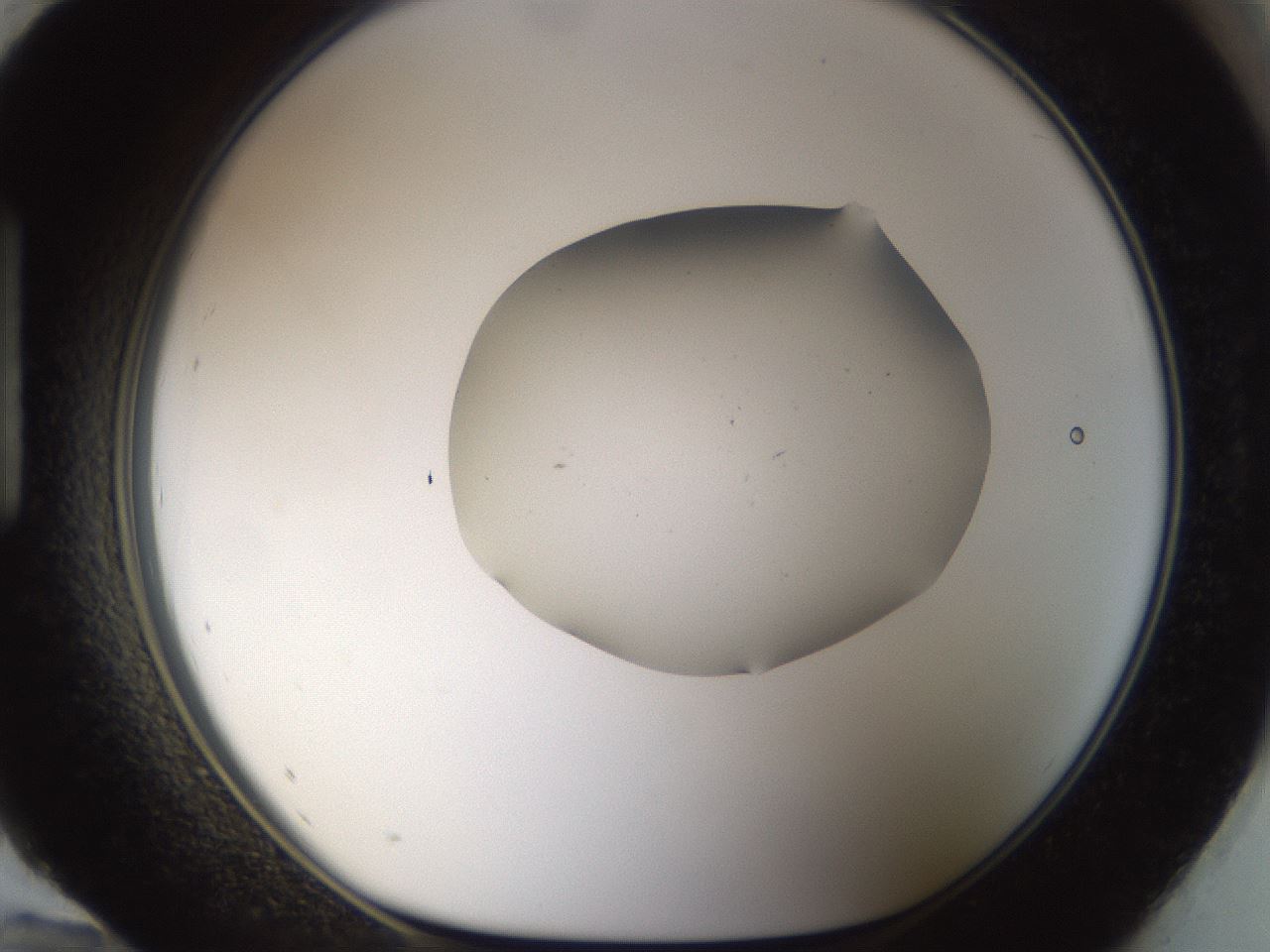 folderID960_plateID960_batchID1395_wellNum96_profileID1_d1_r37259_ef.jpg