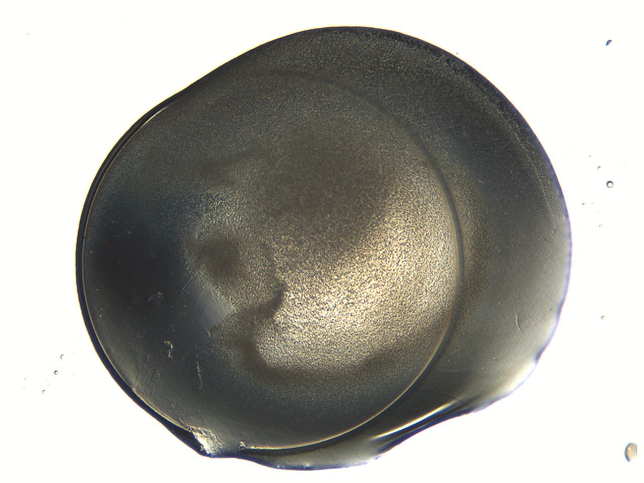 04ou_H10_ImagerDefaults_3.jpg