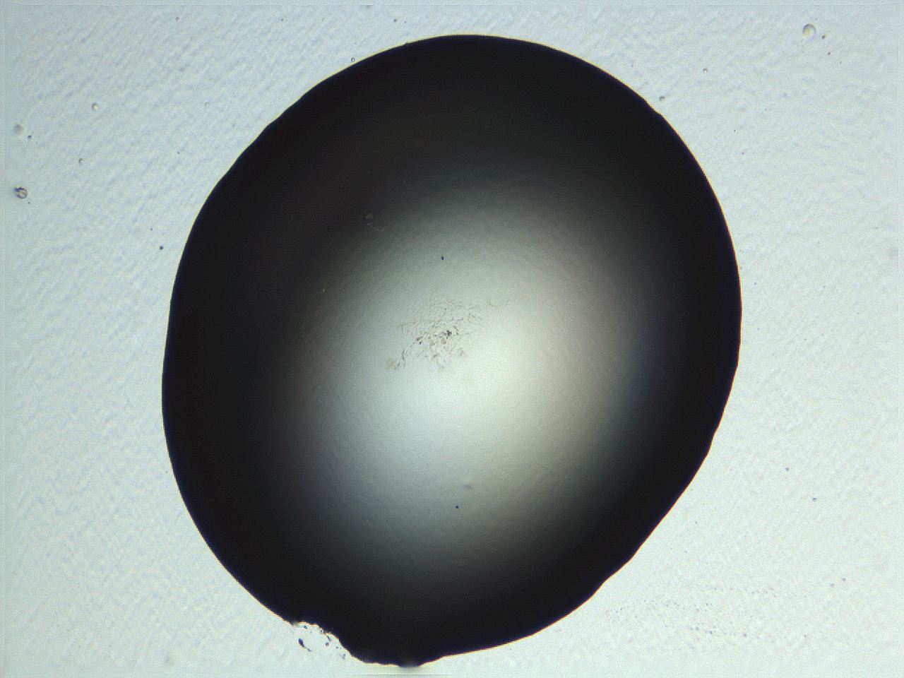 04ou_H11_ImagerDefaults_0.jpg