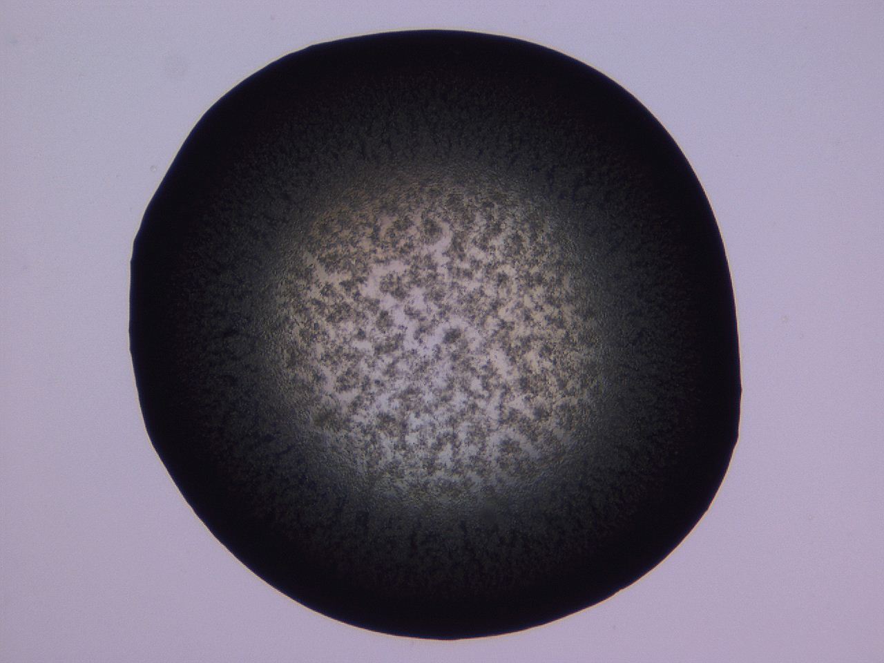 04ov_C2_ImagerDefaults_3.jpg