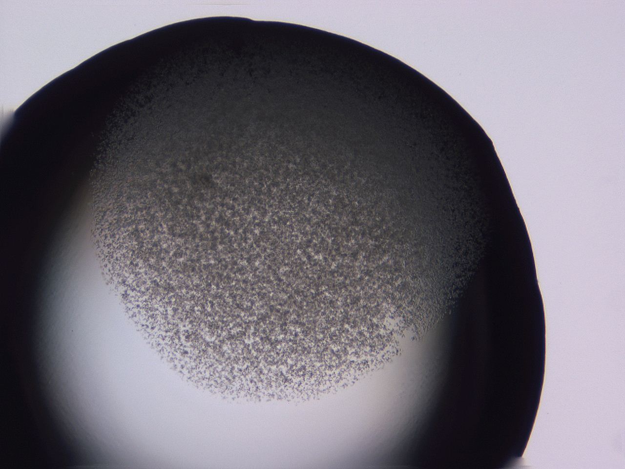 04ov_C3_ImagerDefaults_3.jpg