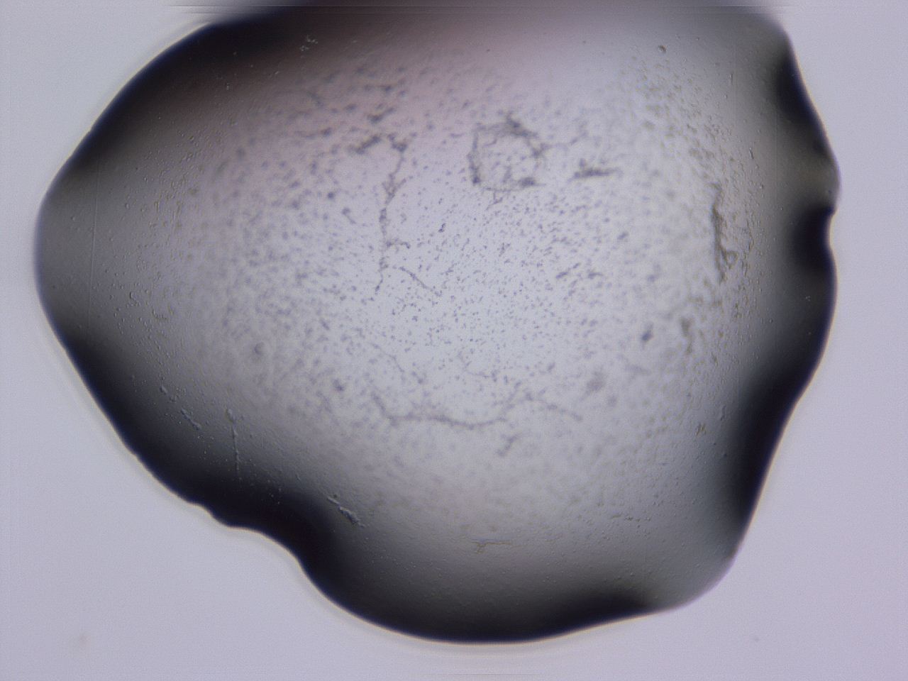 04ov_C5_ImagerDefaults_3.jpg
