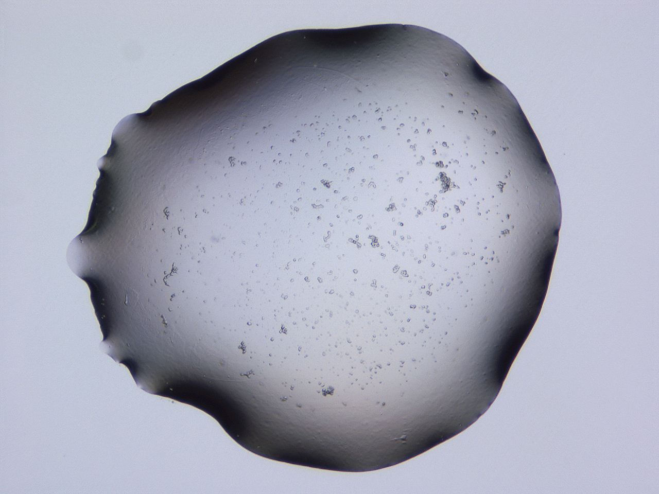 04ov_C1_ImagerDefaults_3.jpg