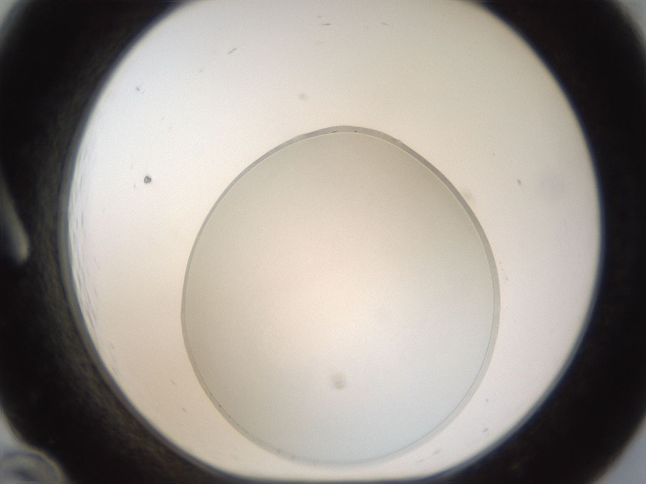 folderID963_plateID1963_batchID8609_wellNum12_profileID1_d1_r132780_ef.jpg