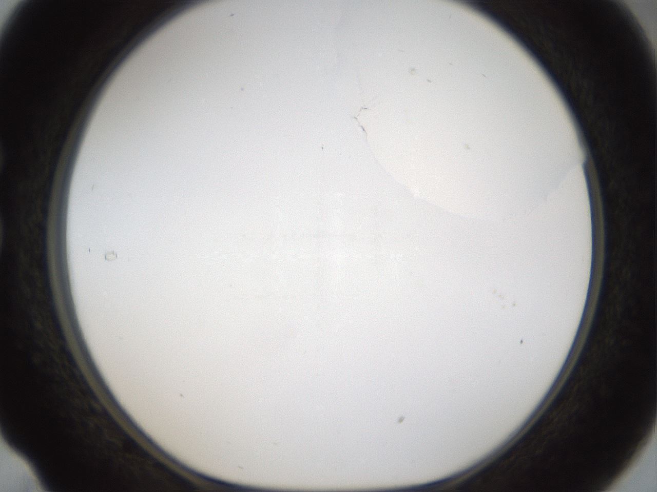folderID963_plateID1963_batchID8609_wellNum29_profileID1_d1_r132814_ef.jpg